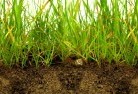 New Farmsub-soil-drainage-6.jpg; ?>